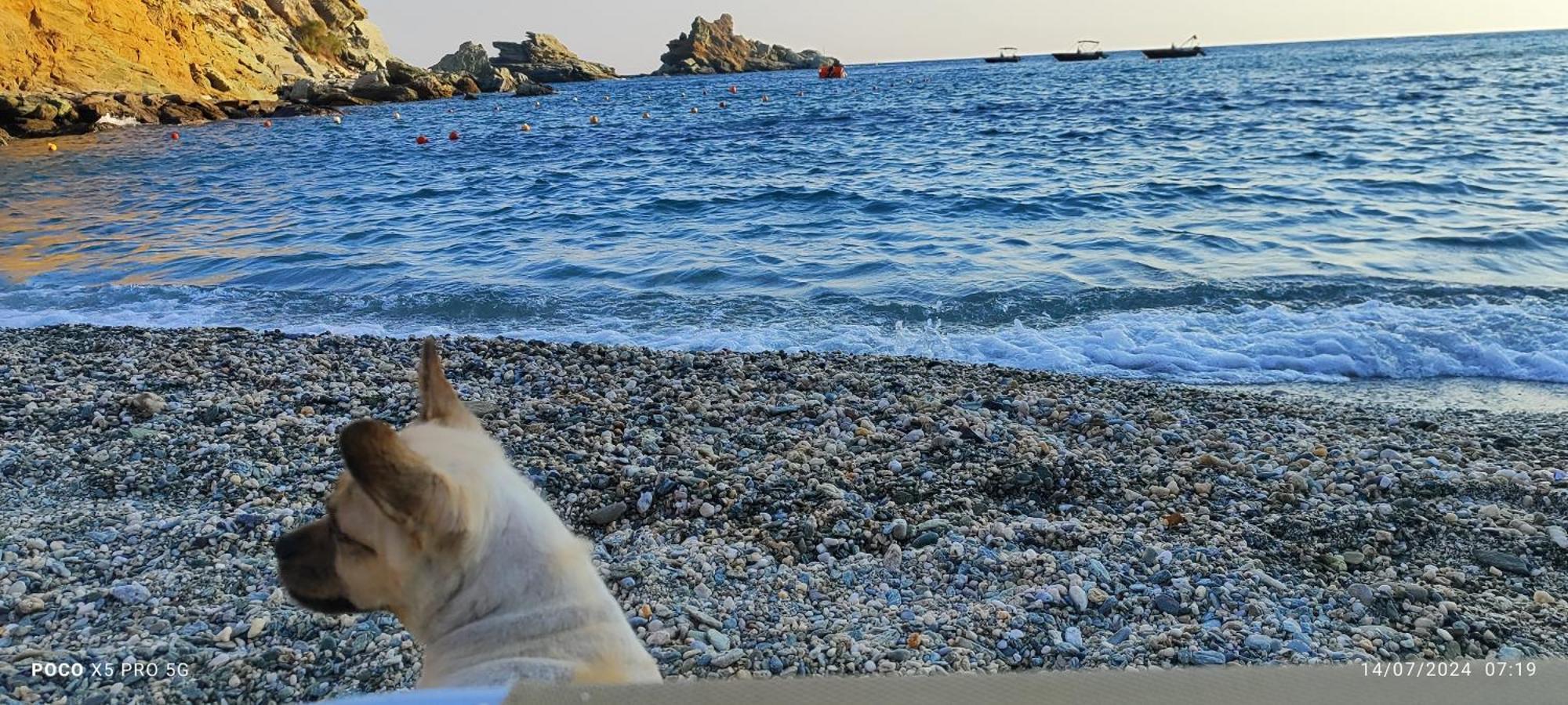 Mades Magic Place Agia Pelagia  Bagian luar foto